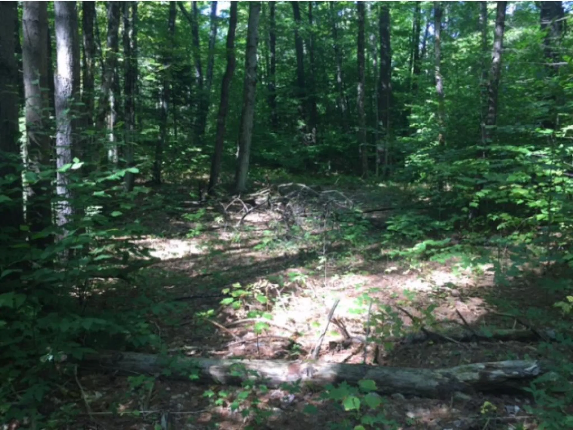 1523 Mcmillan Road Halifax VT 05358