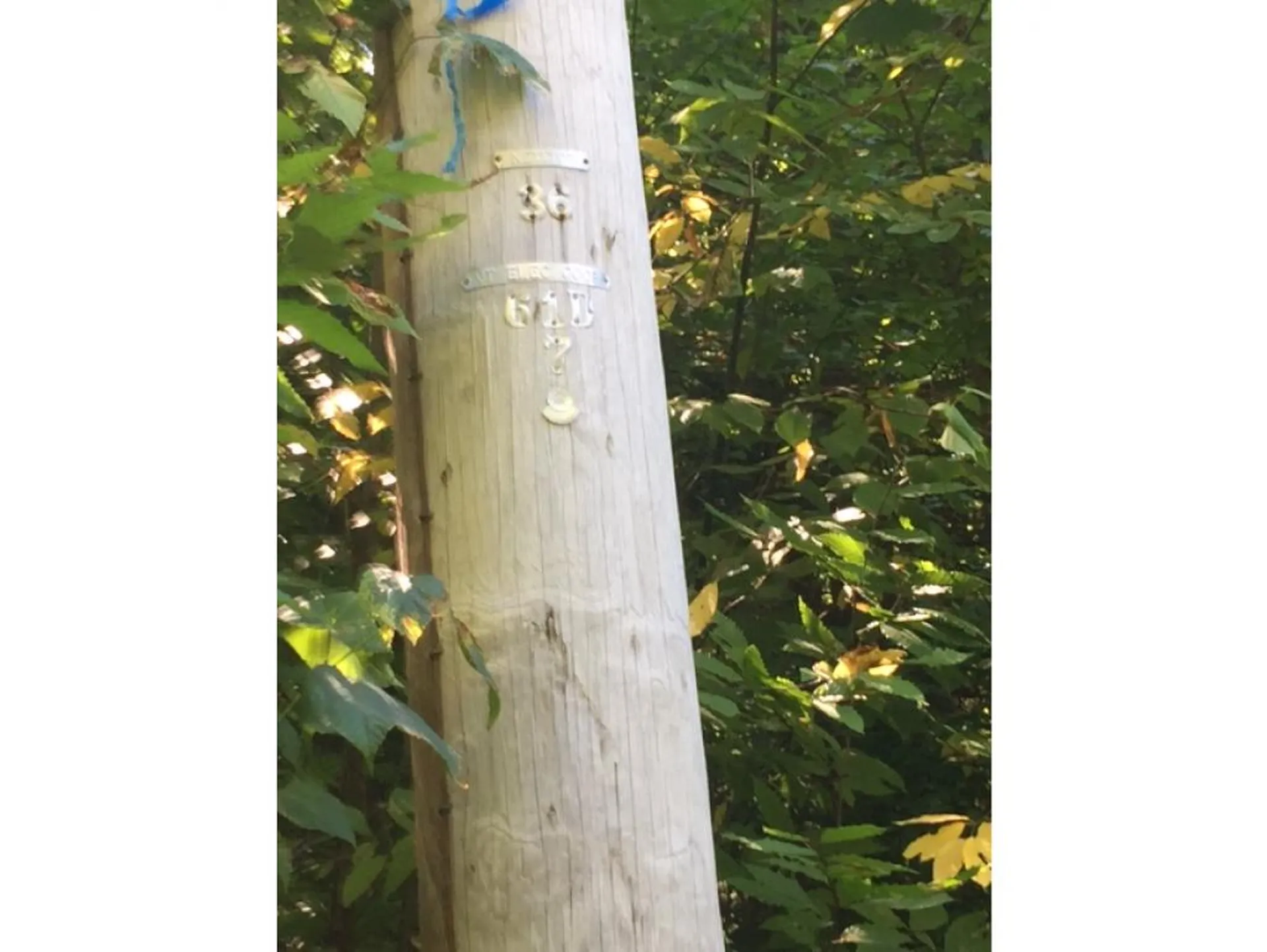 1523 Mcmillan Road Halifax VT 05358