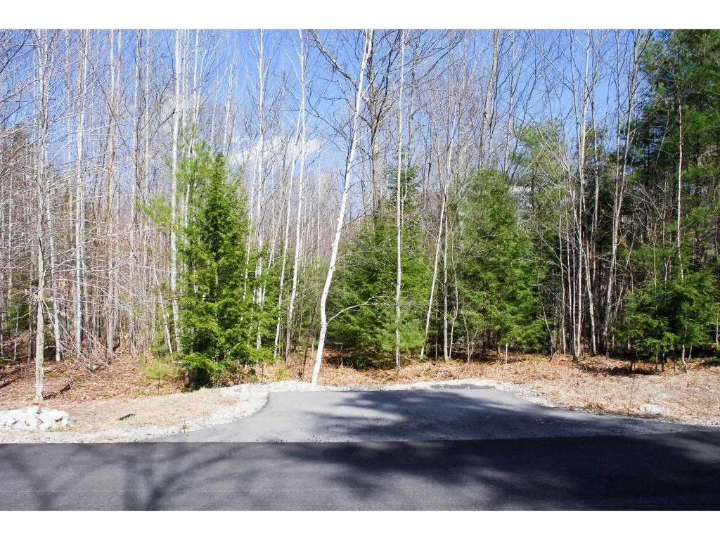 56 Grandview Road Conway NH 03818