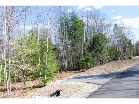 56 Grandview Road Conway NH 03818