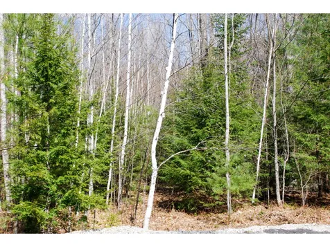 56 Grandview Road Conway NH 03818