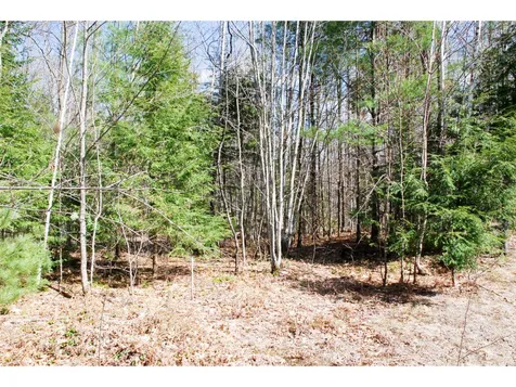56 Grandview Road Conway NH 03818