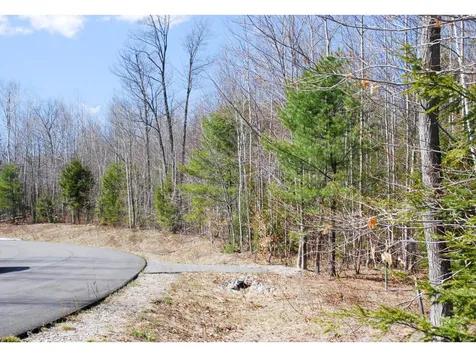 56 Grandview Road Conway NH 03818