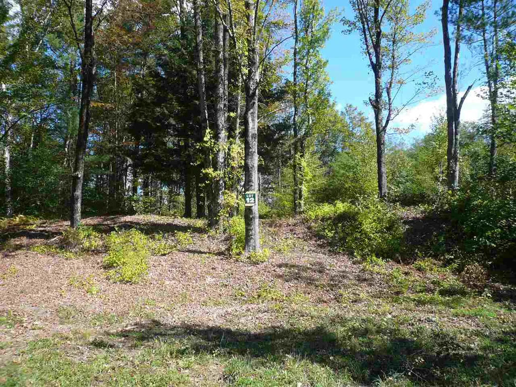 12 Summit Circle Brattleboro VT 05301