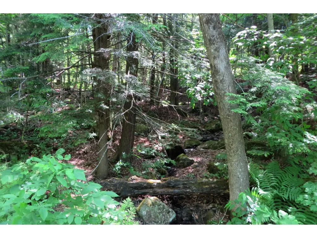 145 Old 5a Westmore VT 05860