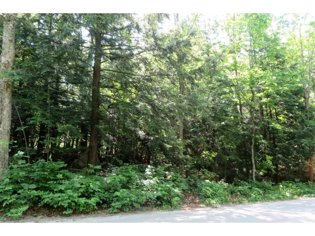 145 Old 5a Westmore VT 05860