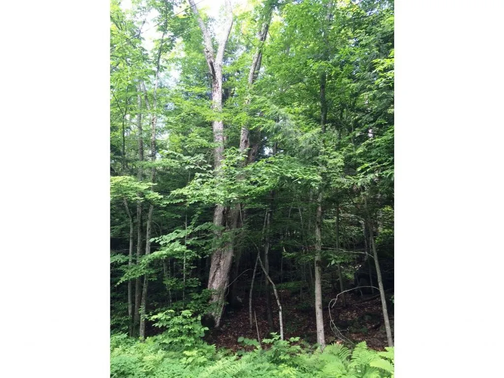145 Old 5a Westmore VT 05860