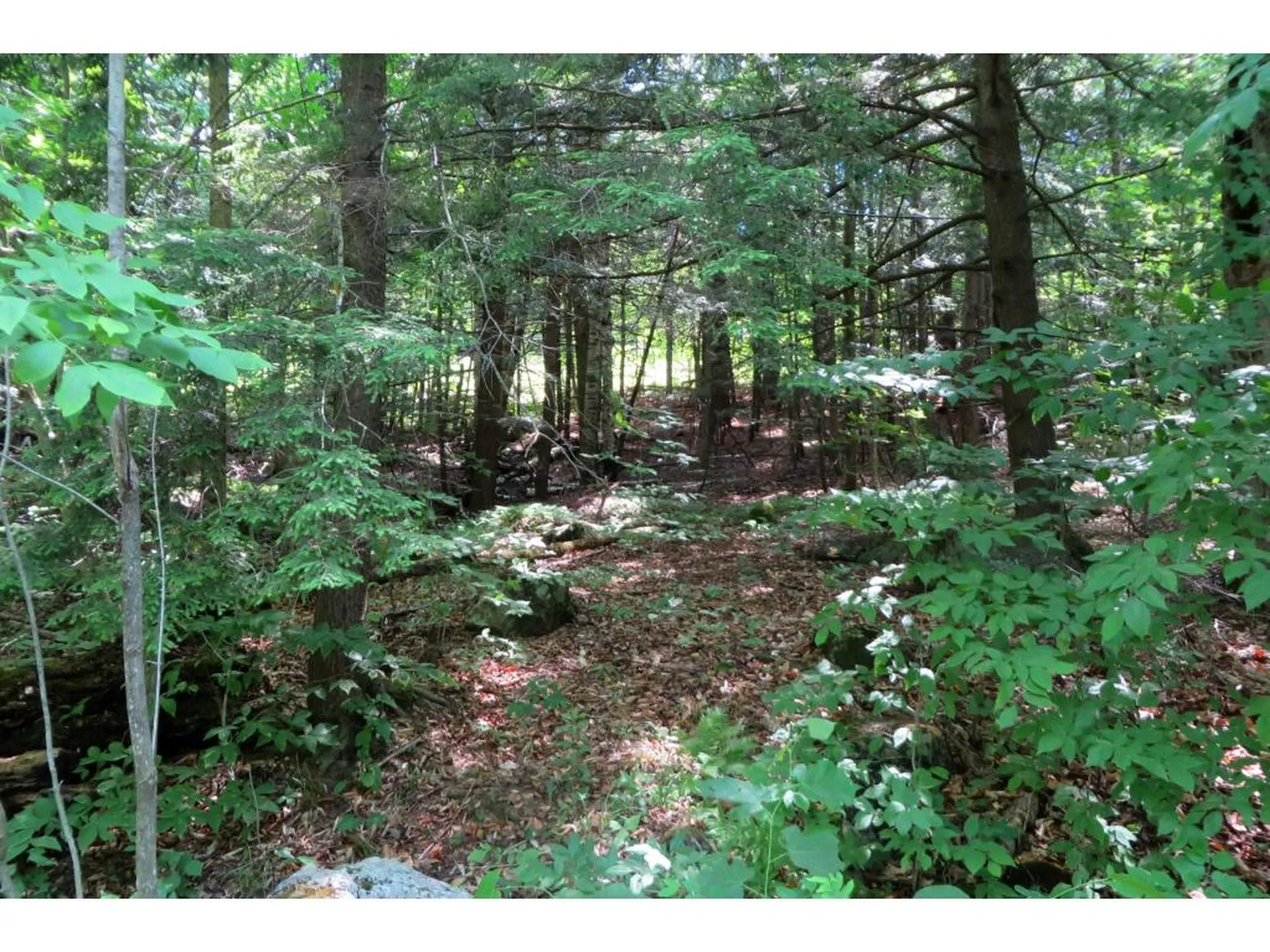 145 Old 5a Westmore VT 05860