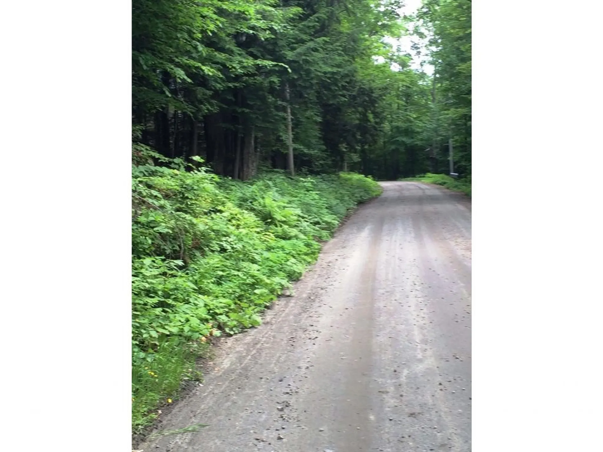 145 Old 5a Westmore VT 05860