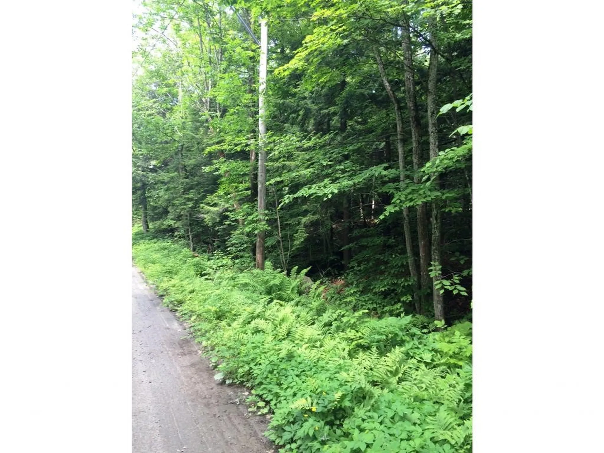 145 Old 5a Westmore VT 05860