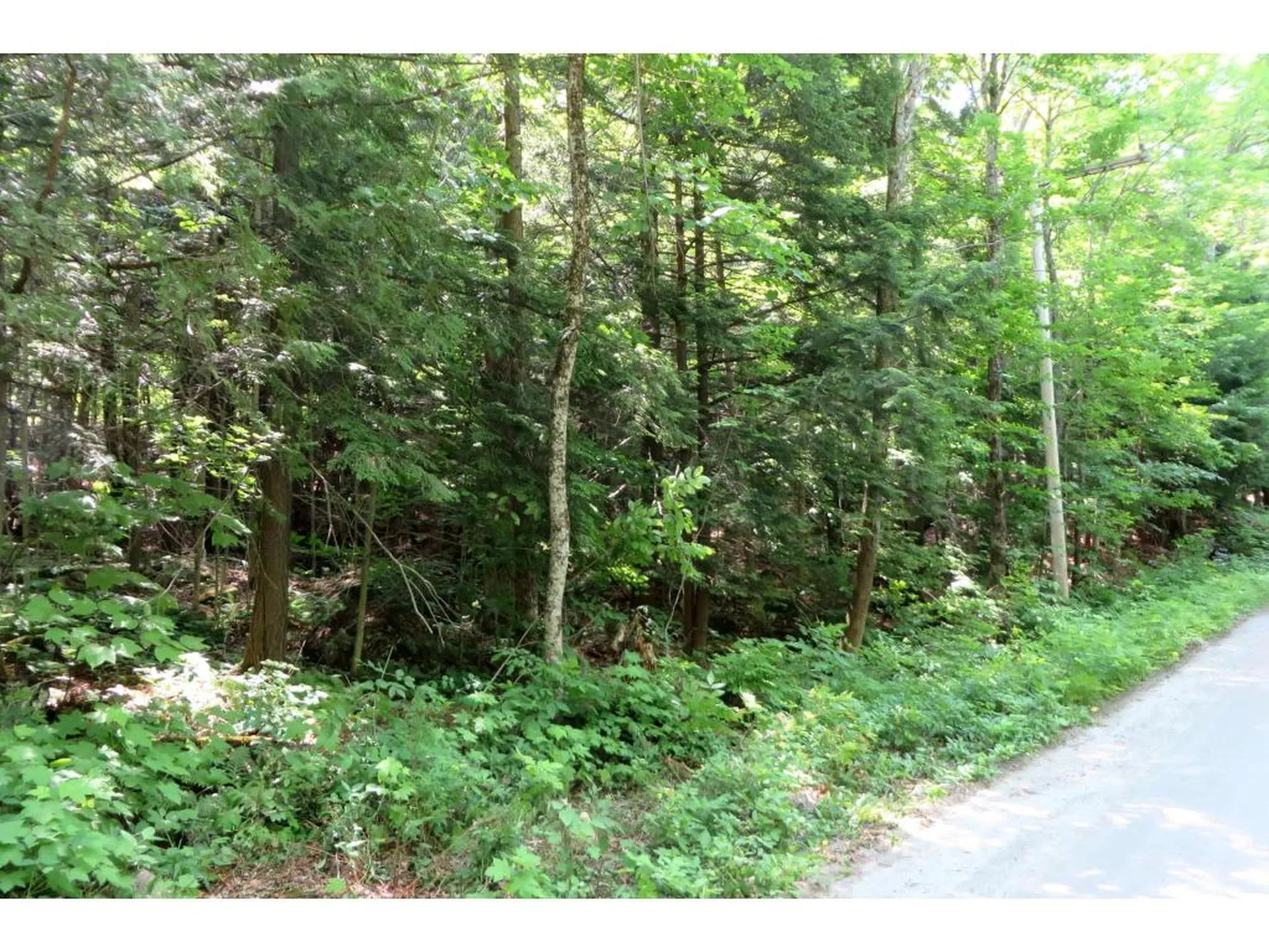 145 Old 5a Westmore VT 05860