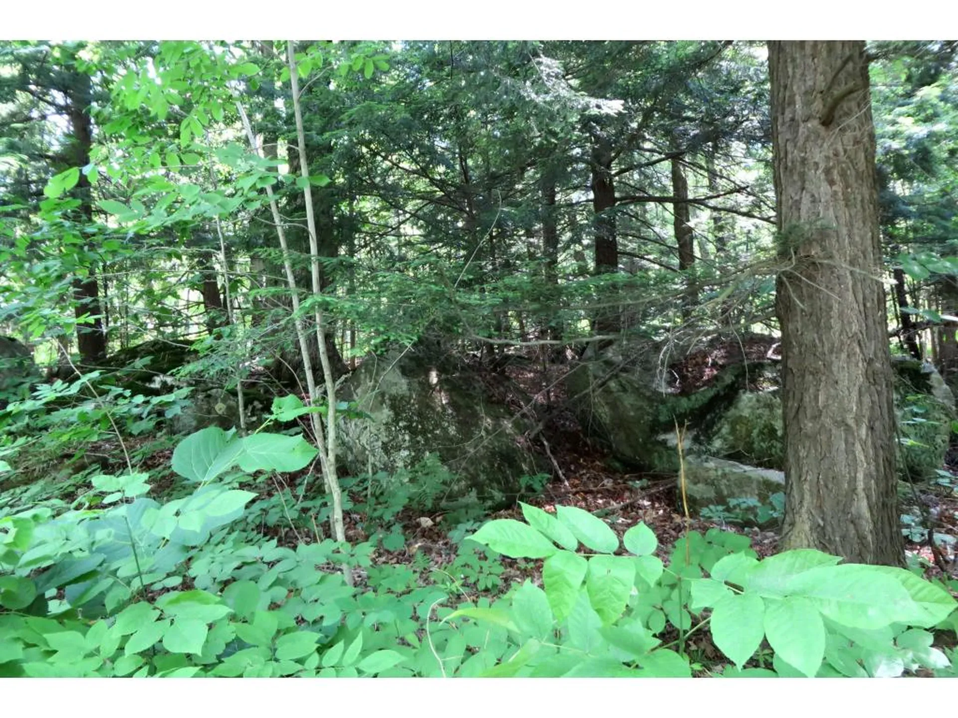 145 Old 5a Westmore VT 05860