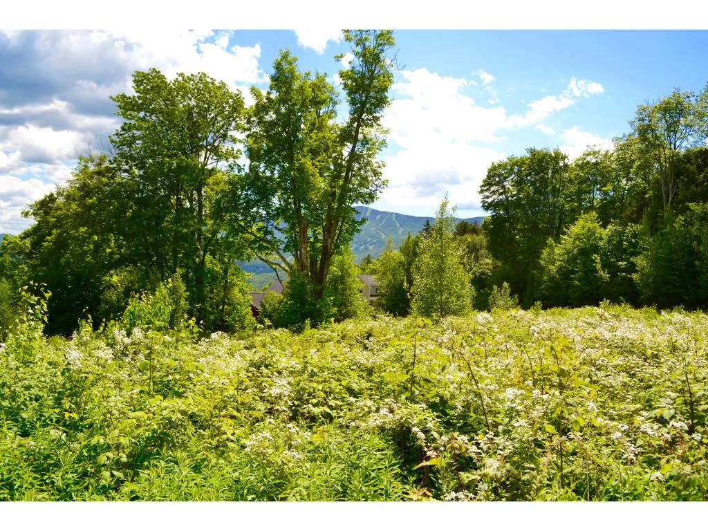00 Farm Road Fayston VT 05673
