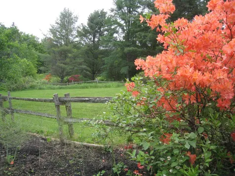 3159 Newark Pond Road Newark VT 05871