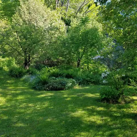3159 Newark Pond Road Newark VT 05871