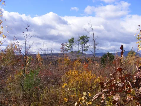 Lot 2 Little Hill Road Webster NH 03303