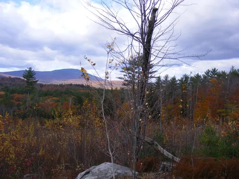 Lot 2 Little Hill Road Webster NH 03303