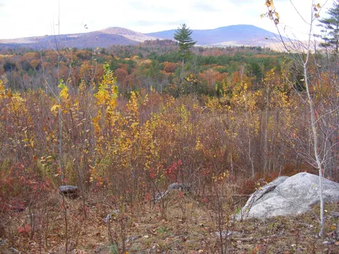 Lot 2 Little Hill Road Webster NH 03303