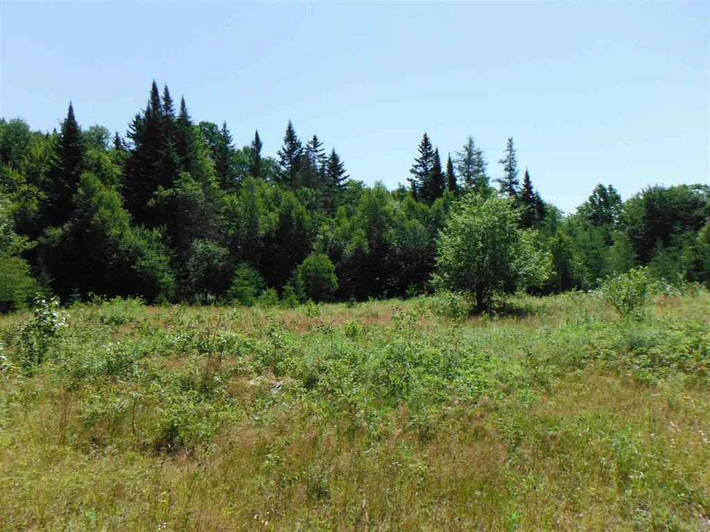 0 Fox Road Newark VT 05871