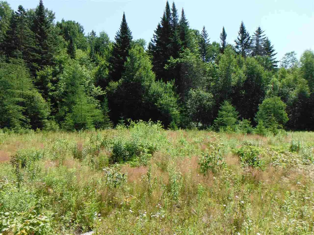 0 Fox Road Newark VT 05871