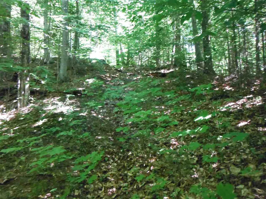0 Fox Road Newark VT 05871