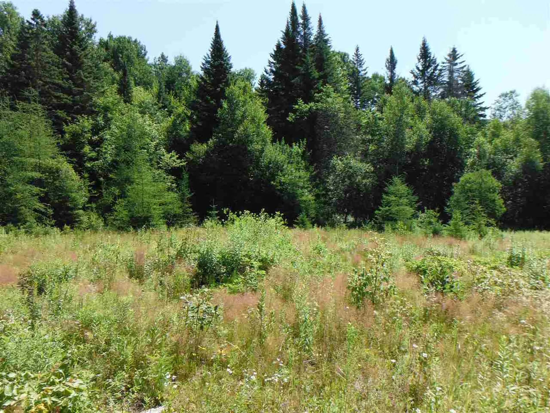 0 Fox Road Newark VT 05871