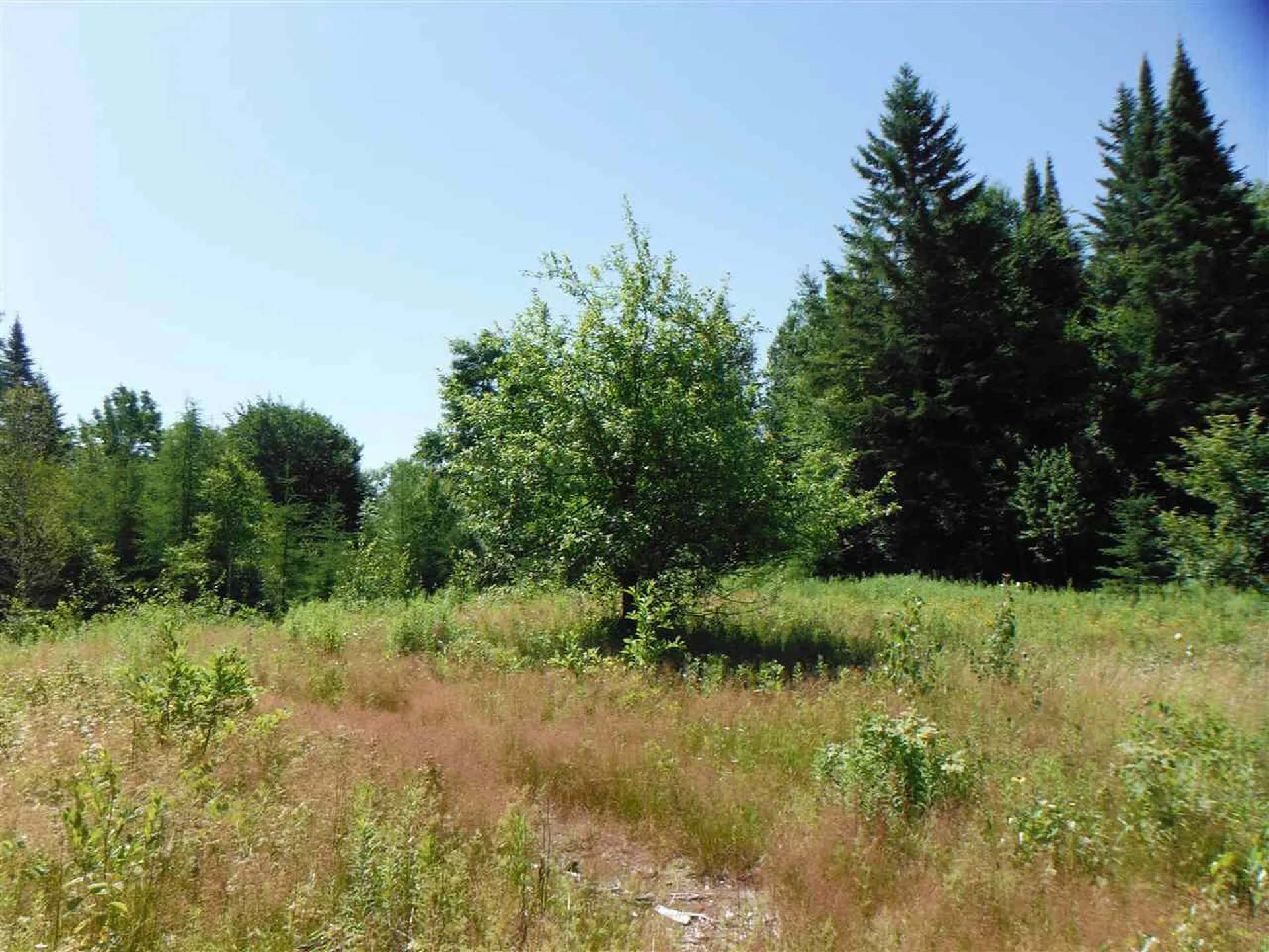 0 Fox Road Newark VT 05871