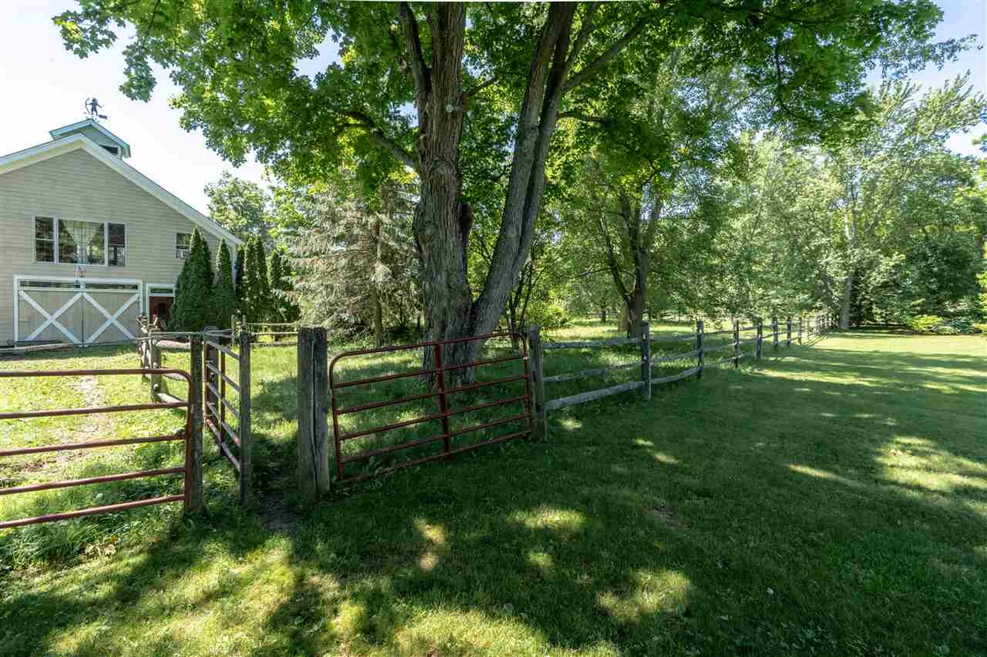 1816 Morgan Horse Farm Road Weybridge VT 05753
