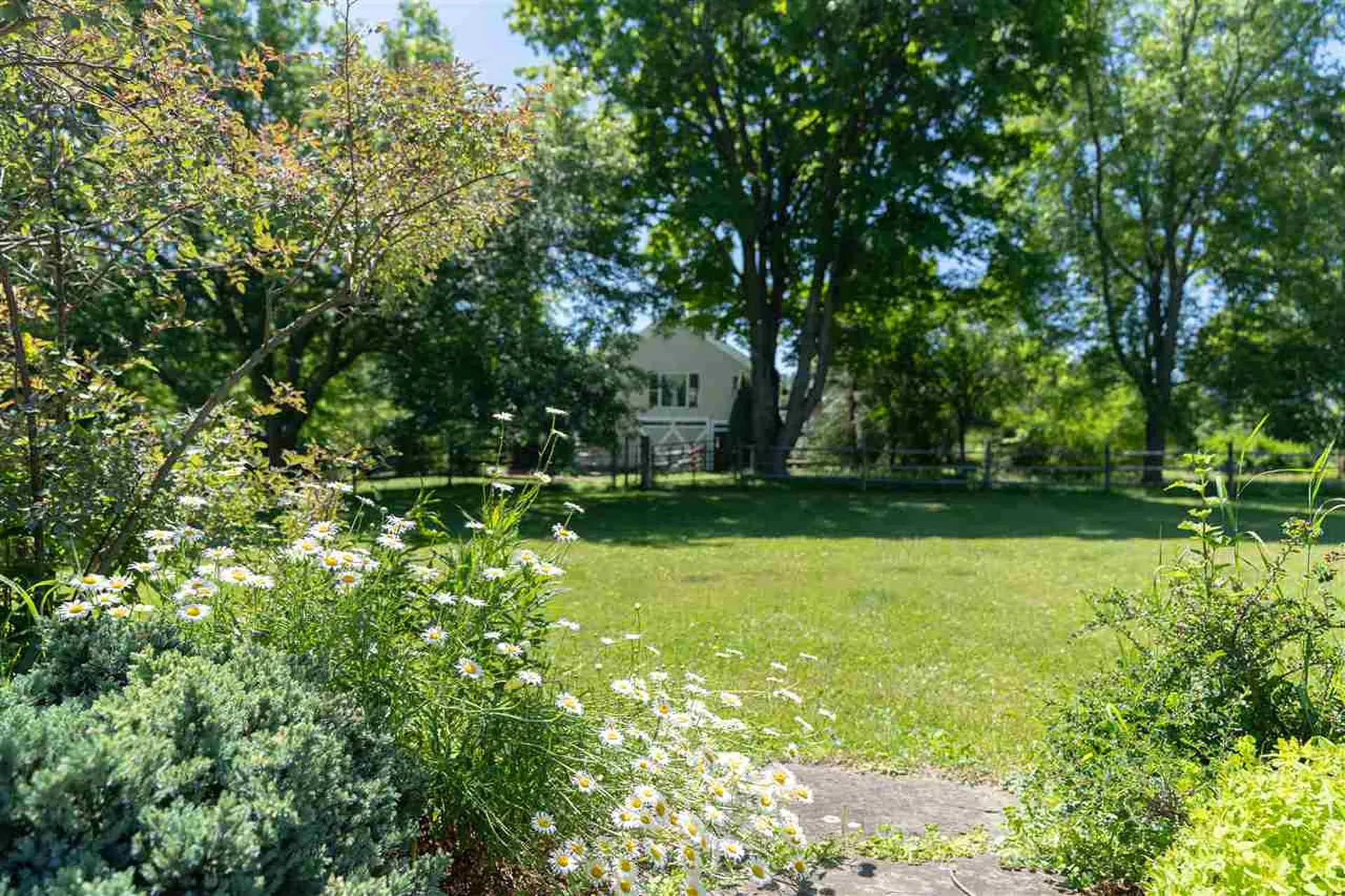 1816 Morgan Horse Farm Road Weybridge VT 05753