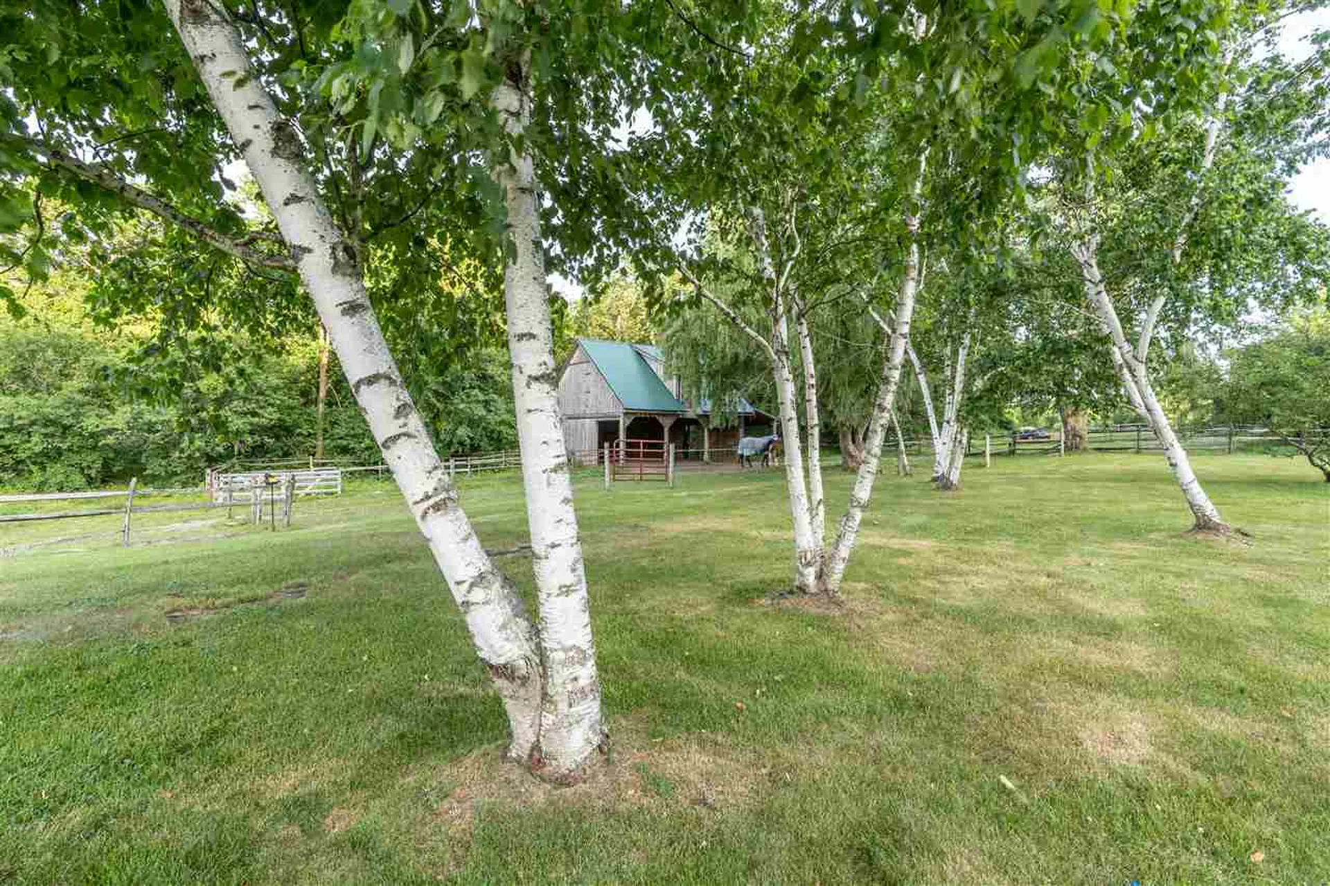 1816 Morgan Horse Farm Road Weybridge VT 05753