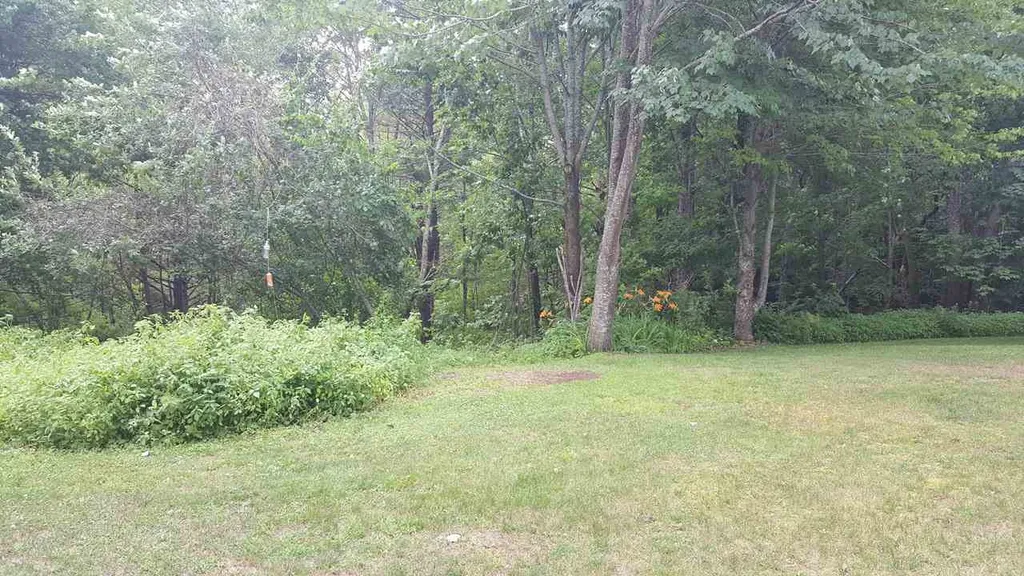 86 Carter Road New London NH 03257