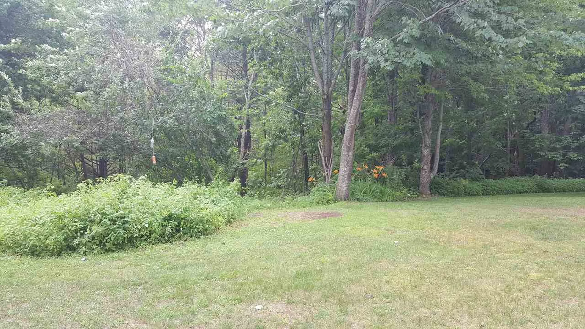 86 Carter Road New London NH 03257