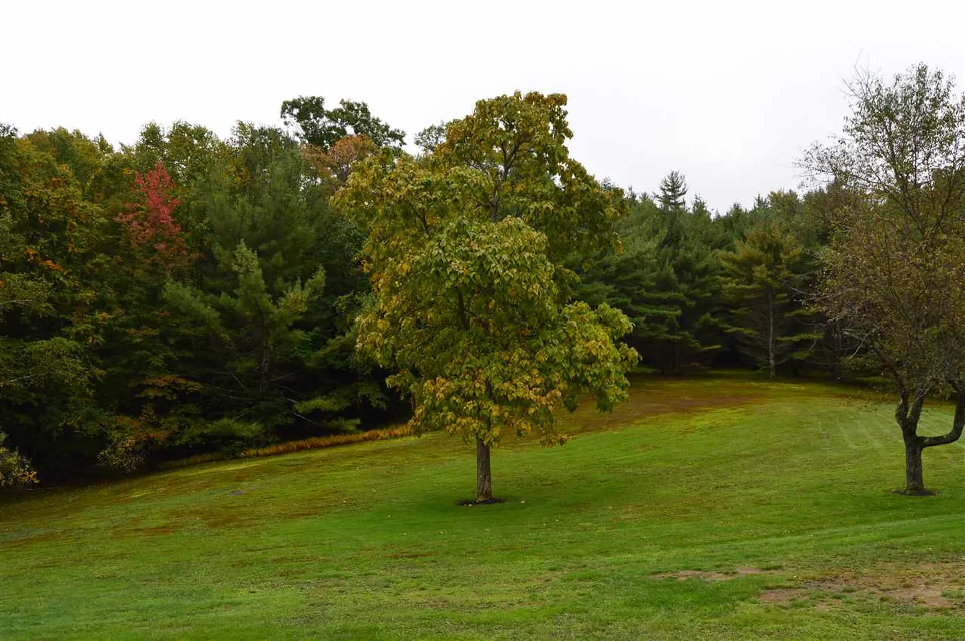 195 Basin Road Vernon VT 05354
