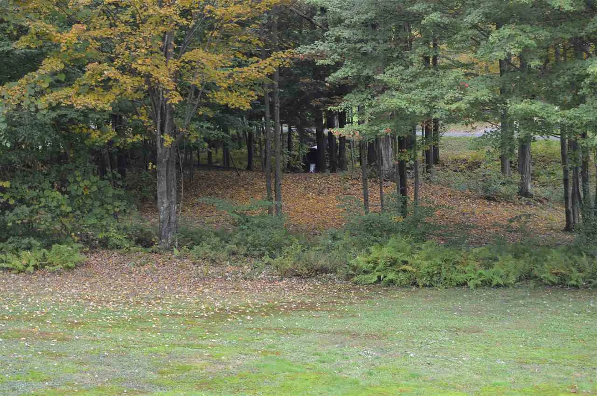 195 Basin Road Vernon VT 05354