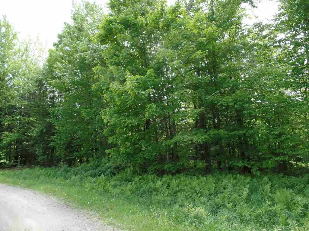 00 Mountain Estates Drive Hyde Park VT 05655