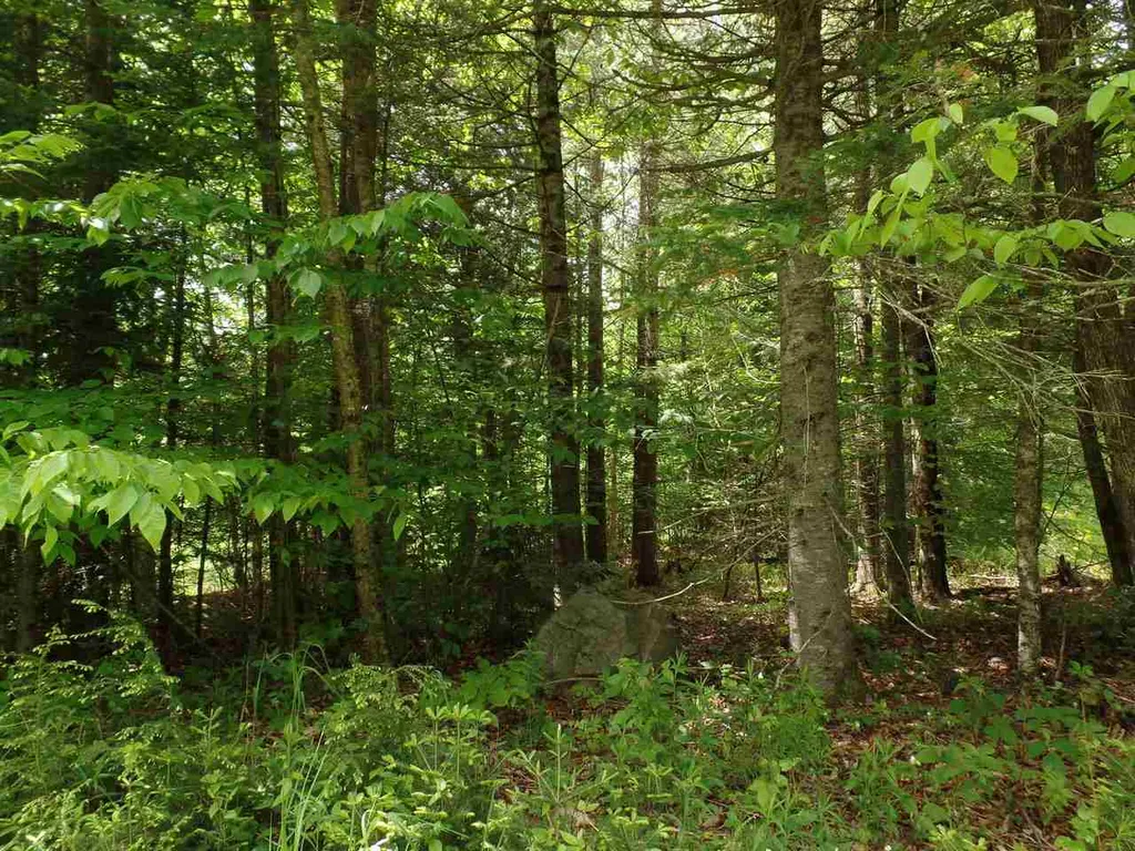 00 Mountain Estates Drive Hyde Park VT 05655