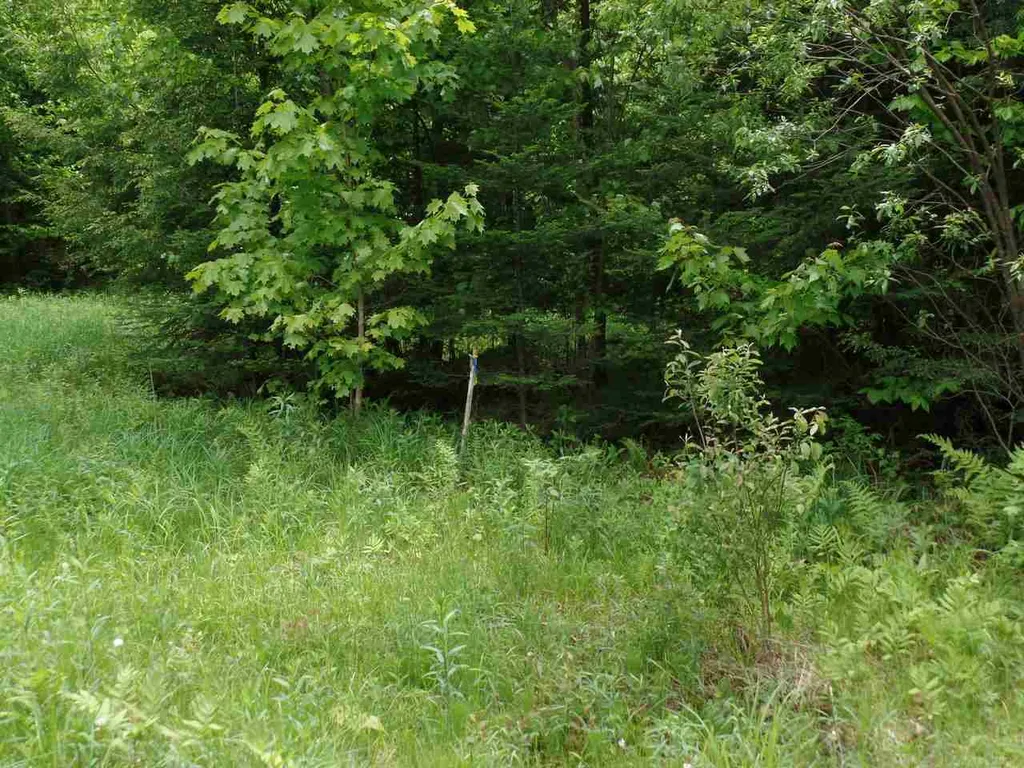 00 Mountain Estates Drive Hyde Park VT 05655