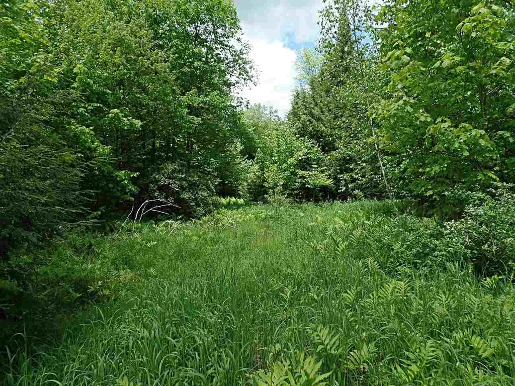 00 Mountain Estates Drive Hyde Park VT 05655
