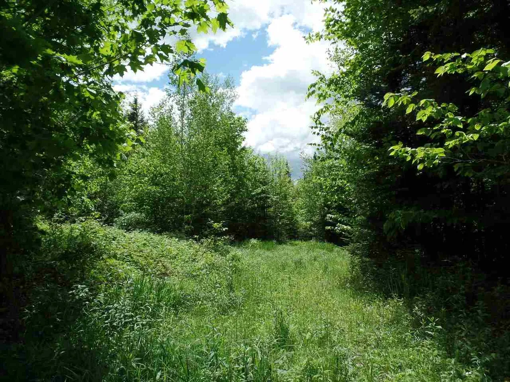 00 Mountain Estates Drive Hyde Park VT 05655