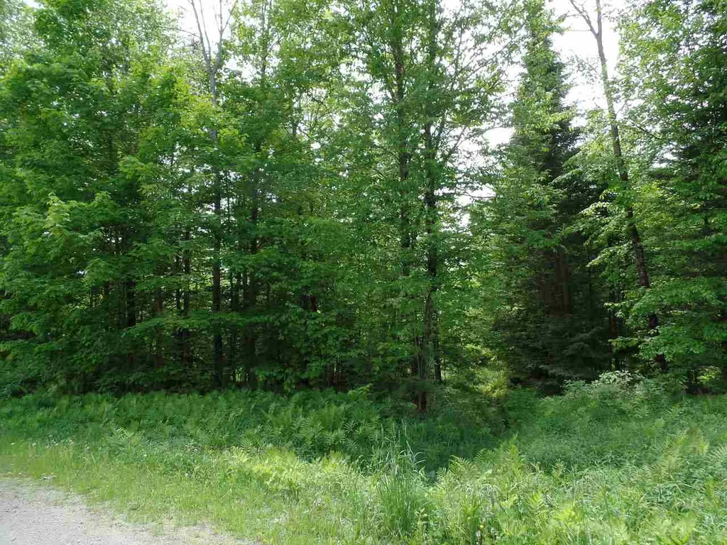 00 Mountain Estates Drive Hyde Park VT 05655