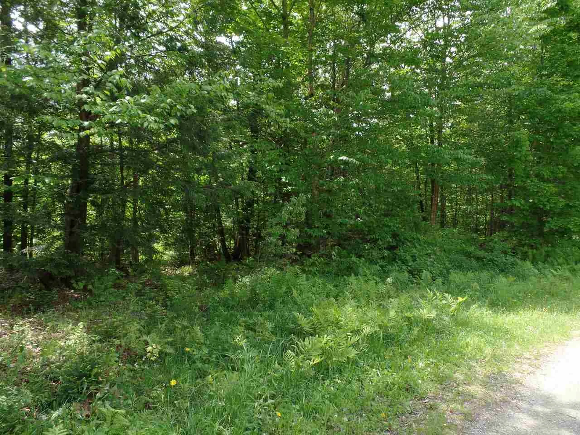 00 Mountain Estates Drive Hyde Park VT 05655