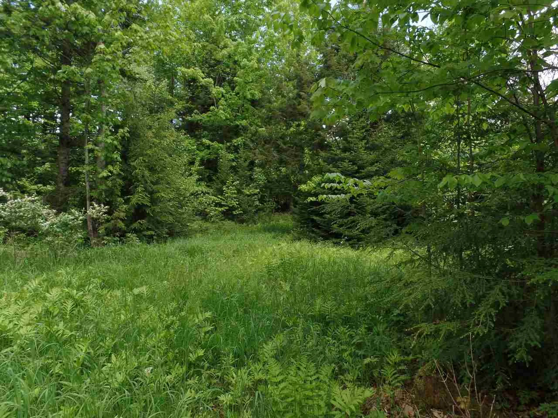 00 Mountain Estates Drive Hyde Park VT 05655