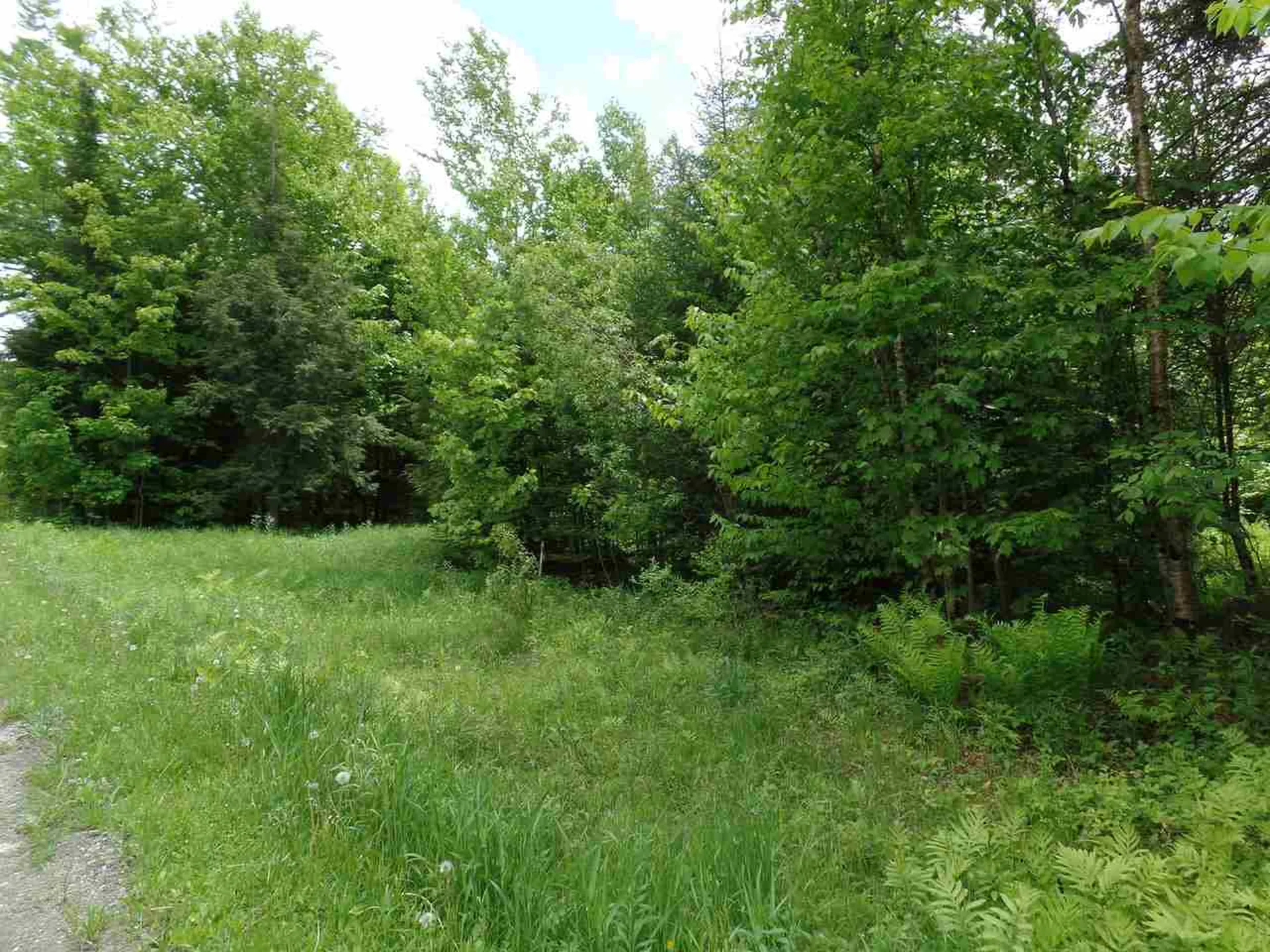 00 Mountain Estates Drive Hyde Park VT 05655