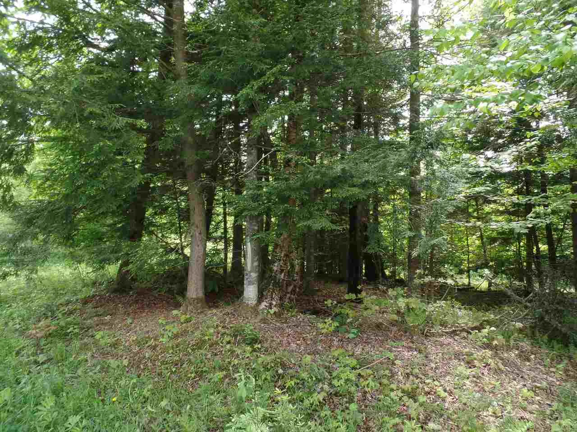 00 Mountain Estates Drive Hyde Park VT 05655