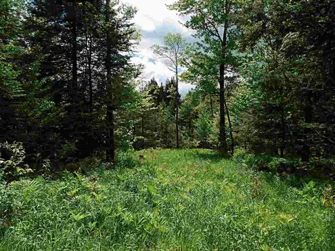 00 Mountain Estates Drive Hyde Park VT 05655