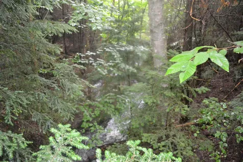89 Stephenson Road Lowell VT 05847