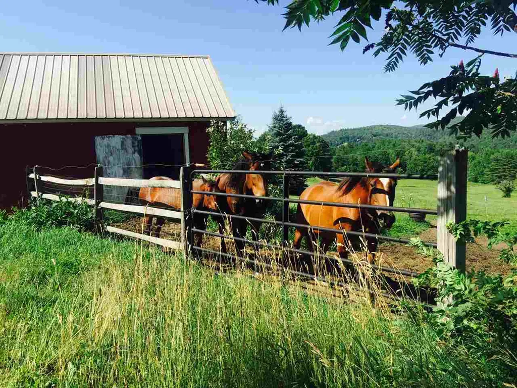 333 Borough Road Charlestown NH 03603