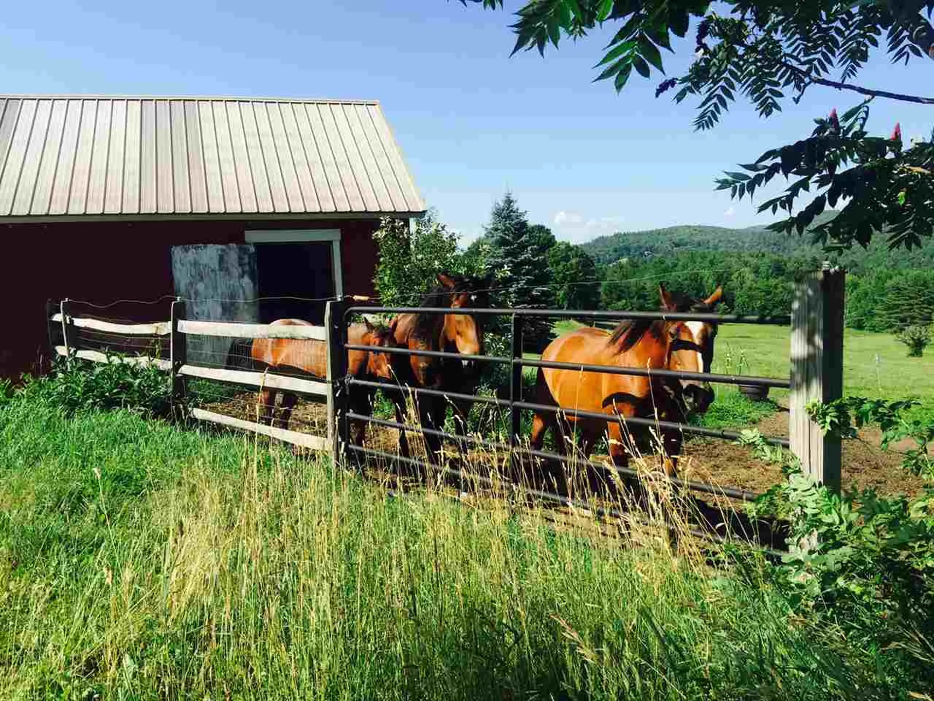 333 Borough Road Charlestown NH 03603