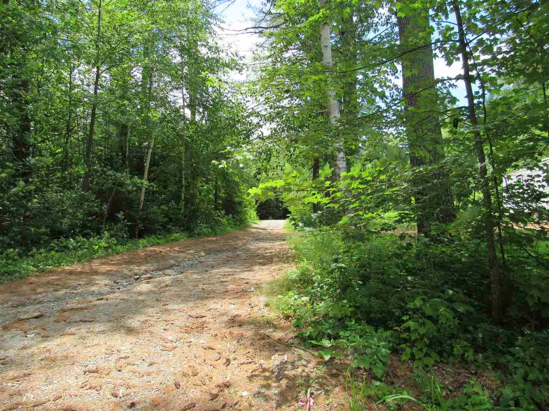 4 Spruce Street Milan NH 03588