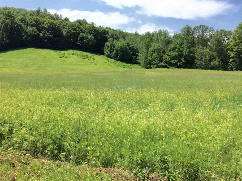 6656a South Road Woodstock VT 05071